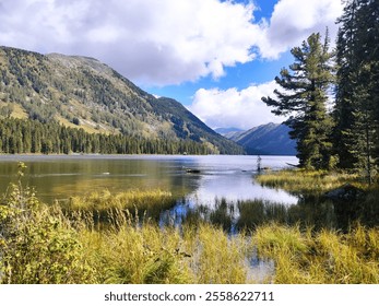 Grass grows in a mountain lake against a background of mountains, pine trees, clouds and blue sky - Powered by Shutterstock