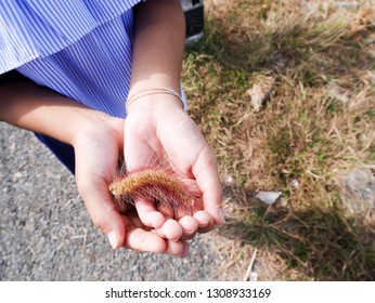 Grass in hand