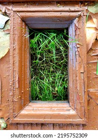 Grass Has Grown Through The Old Door Frame
