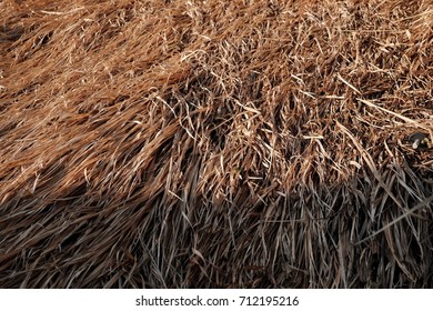 Grass Hay Grass Roof Texture Background Stock Photo 712195216