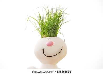 grass head isolated on white