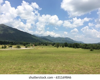 Grass Hill