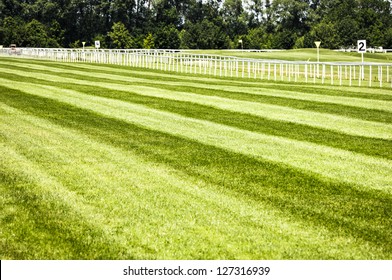grass at a horseracing track - nice background with space for text