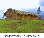 Grass Hut