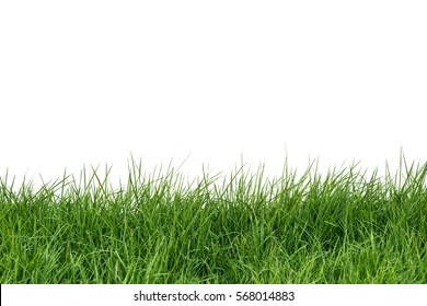 145,063 Long grass field Images, Stock Photos & Vectors | Shutterstock