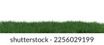 Grass isolated on white background. Meadow, lawn as foreground. Lower frame, border. Cut out graphic design element. 3D rendering.