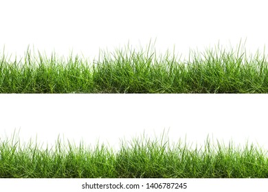 Green Grass Border Isolated On White Stock Photo (Edit Now) 1911864763