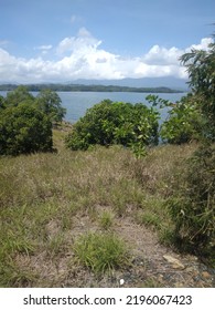 Grass And Lake On Rocky Moutain