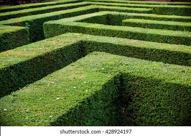 Hedge Maze Images, Stock Photos & Vectors | Shutterstock