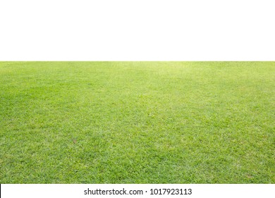 grass lawn isolated on white background