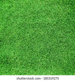 Grass Lawn Natural Background