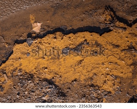 Grass and leaves cought in ferric mud. The chemical rests at colapsed coal mine, Leknica Poland.