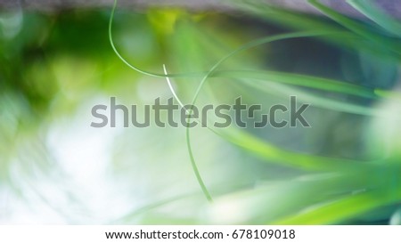 Similar – Image, Stock Photo flytrap III Plant