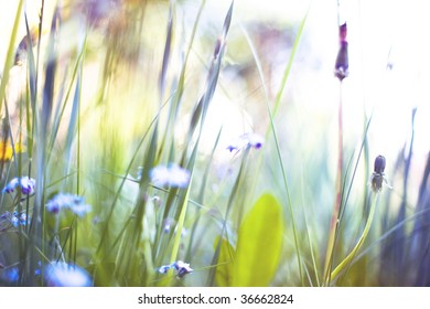 grass made with color filters - Powered by Shutterstock