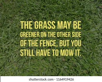 Royalty Free Grass Greener Other Side Stock Images Photos