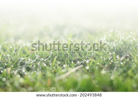 Similar – Image, Stock Photo frost Winter Nature Plant