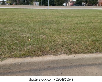 Grass In The Median Of A Divided Highway