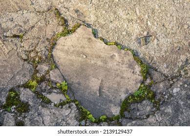 Grass And Moss Grow Through The Asphalt. Cracks In The Concrete. Old Road Cover. Top View. - Powered by Shutterstock