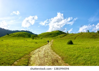 Grass Mountain Ranong Province Thailand