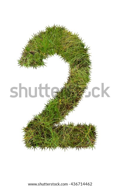 Grass Number Two Isolated On White Stock Photo 436714462 | Shutterstock