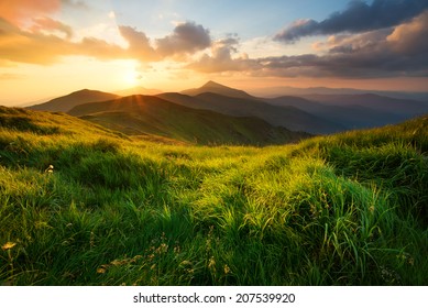 Gras auf dem Berg während des Sonnenuntergangs. Schöne Sommerlandschaft