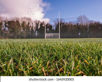 Grass On A Pitch In Focus, Irish National Sport Goalpost Out Of Focus In The Background. Concept Football, Rugby, Hurling And Camogie Training.