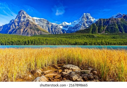 Grass on the shore of a mountain lake. Lakeshore in mountains. Mountain lakeshore landscape. Beautiful mountain lakeshore