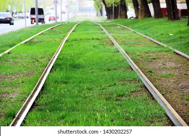Grass On Tram Tracks In Spring, Close-up