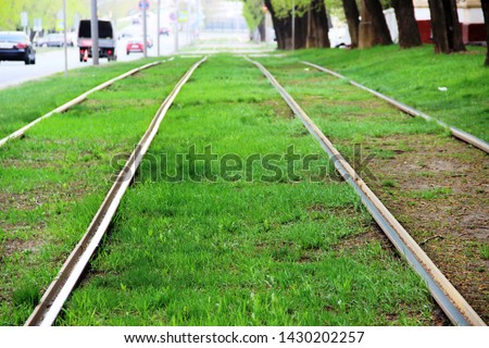 grass on tram tracks in spring, close-up