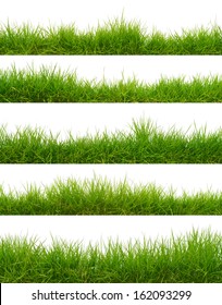 Grass on white background - Shutterstock ID 162093299
