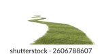 Grass Path, Winding Trail Isolated on White Background
