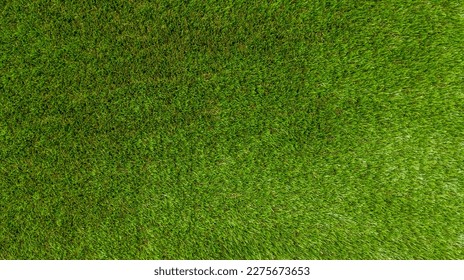 grass real field background light natural green floor outdoor wallpaper