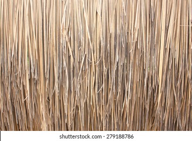 Grass Roof Of The Roof Surface Is Made Of Catnip Grass Called Out To Carry A Sheet Of Roofing Houses Or Huts Conventional Wisdom Is Beautiful Natural Objects.