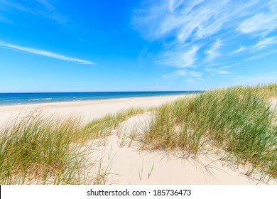 Grass sand dune beach sea view, Leba, Baltic Sea, Poland  - Powered by Shutterstock