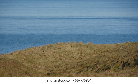 grass and sea