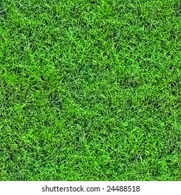 Grass Seamless Pattern.