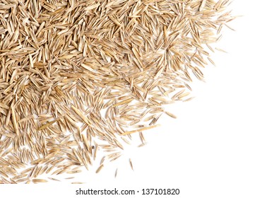 Grass Seed