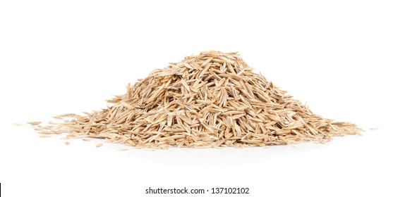 Grass Seed Pile Against White