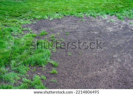 Grass seeds in fresh dirt, re-seeding a patchy lawn
