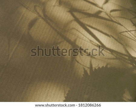 Similar – Foto Bild Paper background