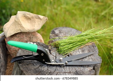 Grass Shears