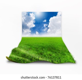 Grass with sky background image