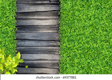 grass and Small green plants depend on old wood