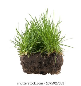 grass, soil and grass isolated on white background - Shutterstock ID 1095927353