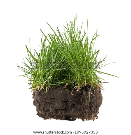 grass, soil and grass isolated on white background