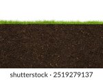 Grass and soil with white background.