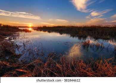 Grass submerged in placid water, orange sunset on the horizon