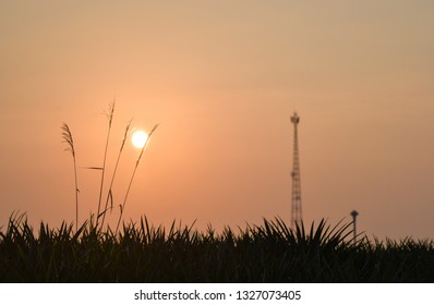 Grass And Telephone Pole In The Shadows.