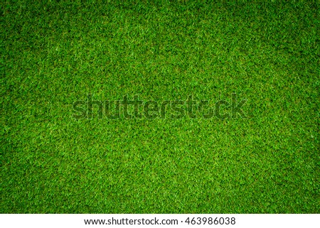Grass texture background