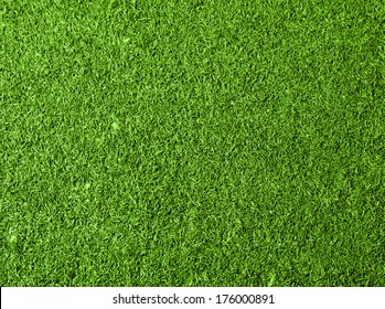 Grass Texture Background. Top View Photo